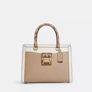 COACH  |  Grace Carryall In Colorblock