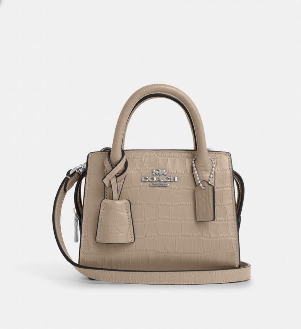 COACH  |  Andrea Mini Carryall (Stone)